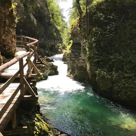 Dei Sogni